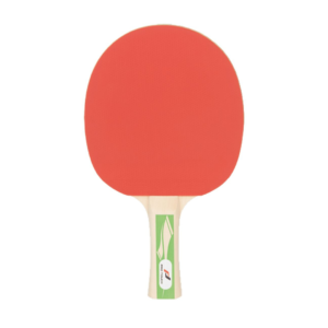 RAQUETTE TENNIS DE TABLE PRO 3000
